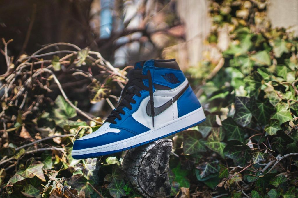 Stylish blue sneakers displayed on a wooden stump surrounded by lush green ivy outdoors.